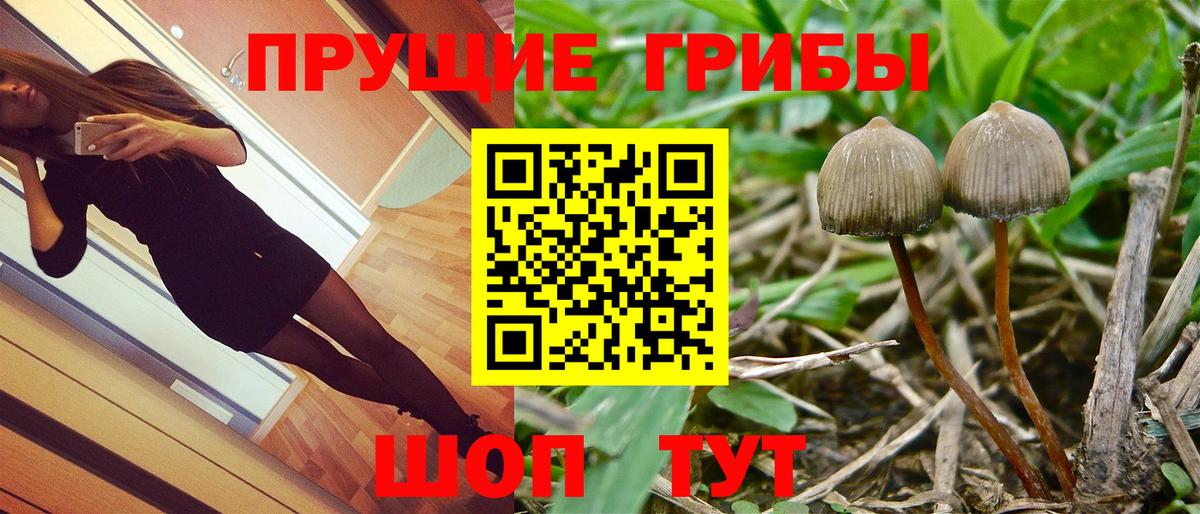 Cocaine  Алейск  Меф кристаллы  Бошки Шишки  Вход с VPN 